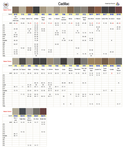 Cadillac Interior Colors