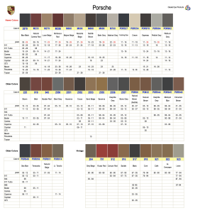 Porsche Interior Colors