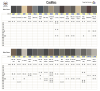 Cadillac2_03_26_1.png