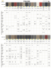 Chevrolet2_03_26_1.png