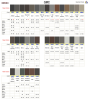 GMC1_03_26_1.png