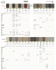 Infiniti_03_26_1.png