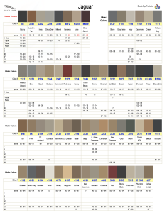 Jaguar Interior Colors