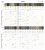 Toyota Interior Colors