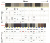 Lincoln Interior Colors