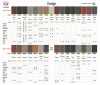 Dodge Interior Colors