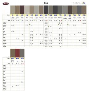 Automotive Leather & Vinyl Dye