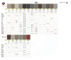 Kia Interior Colors